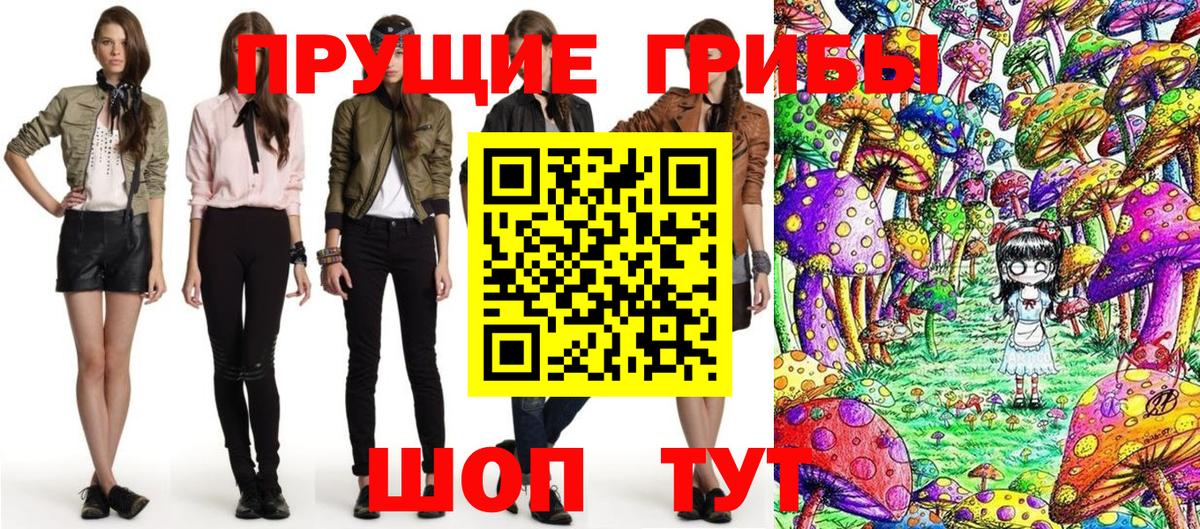 Псилоцибиновые грибы Cubensis  Вход с VPN  Псилоцибиновые грибы Psilocybine cubensis  Луга 